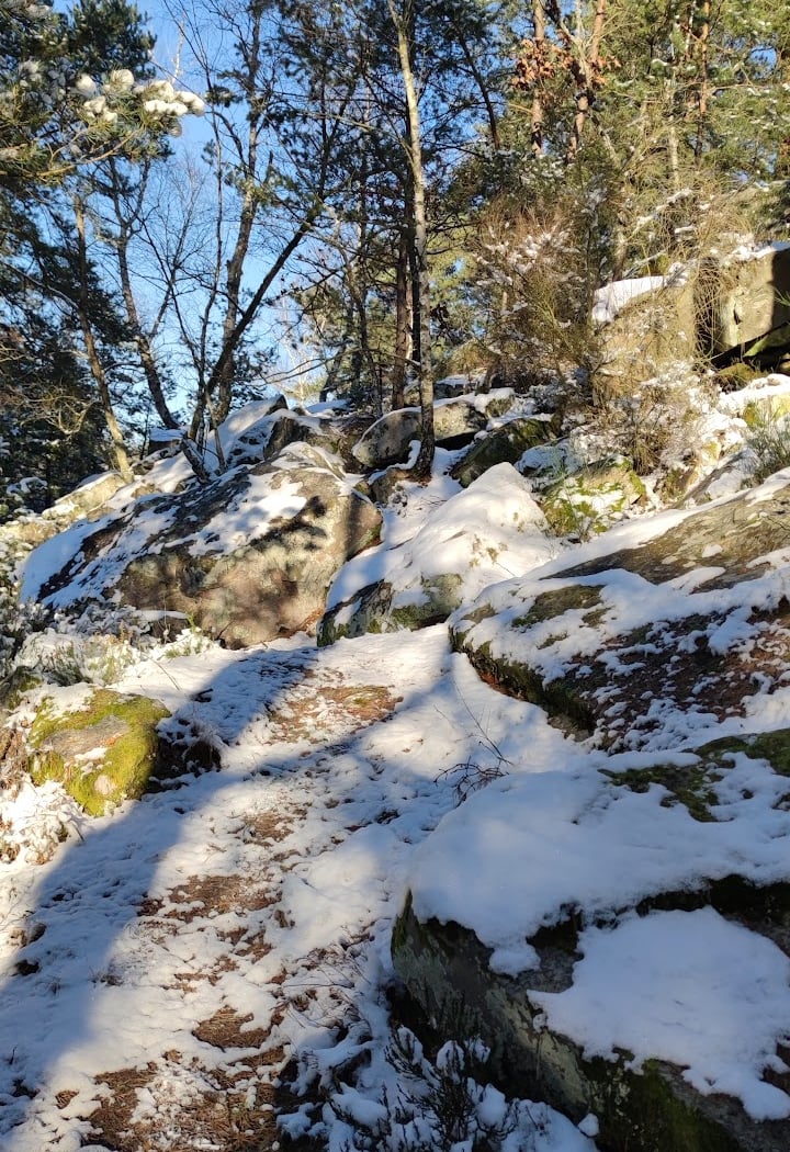 Forêt de Rambouillet et rochers d'Angennes 1